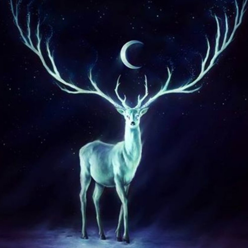 Stag
